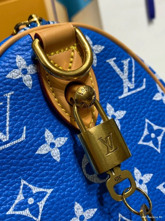 Aaa replica bags SPEEDY Louis 25 Vuitton 0715